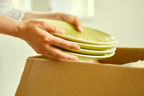 packing-plates-for-moving-mngmovers-everglow packing-plates-for-moving-mngmovers-everglow