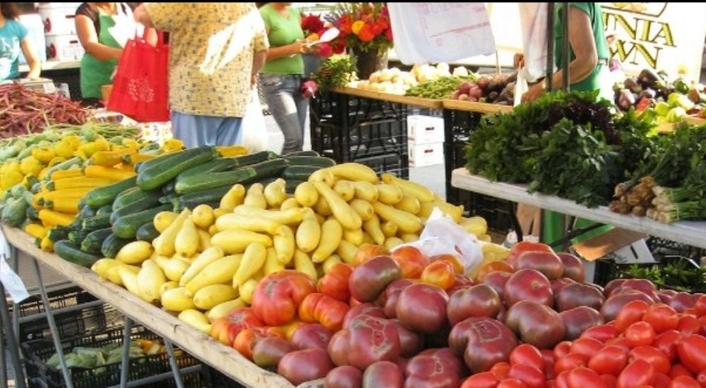 Colorful display of fresh vegetables including squash, zucchini, tomatoes, and leafy greens at an outdoor farmers market in Alexandria, Virginia, with shoppers browsing in the background.