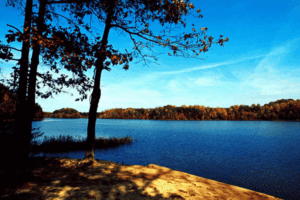 Scenic view of Burke Lake Park in Fairfax County VA with a calm lake, tree-lined shore, and vibrant blue sky during autumn.
