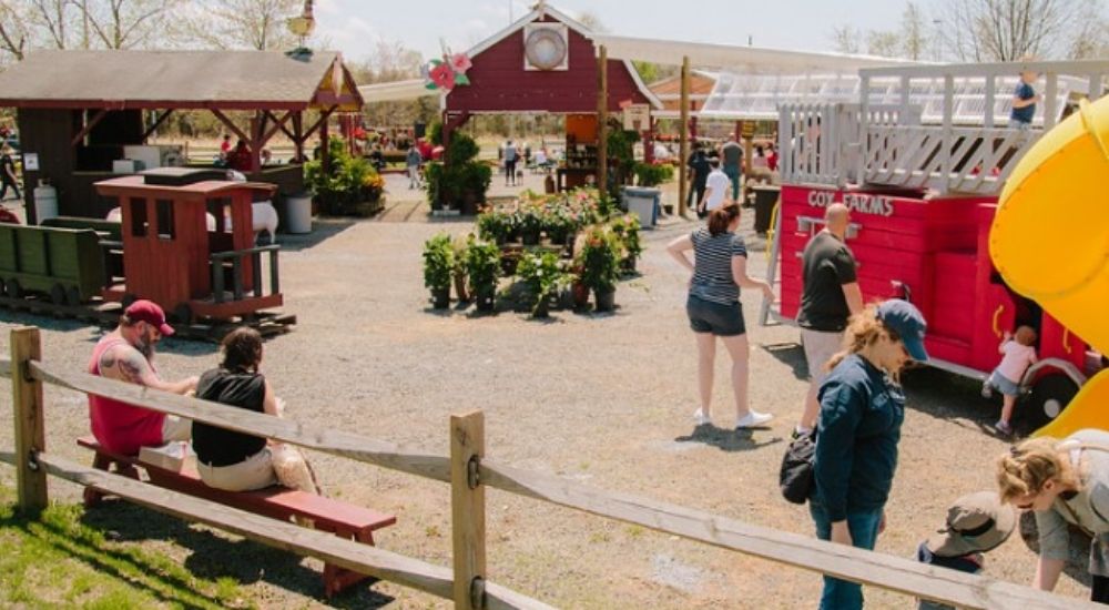 Families explore Cox Farms in Centreville, VA, with kids playing on slides and farm-themed structures.