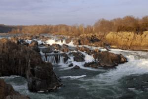Rushing waterfalls and rocky cliffs along the Potomac River at Great Falls Park in Virginia, with bare trees and a cloudy sky in the background.