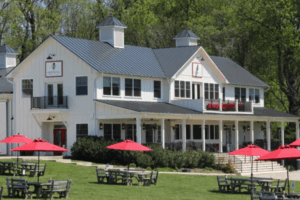 Scenic vineyard with rows of grapevines and visitors sipping wine on a sunny patio.
