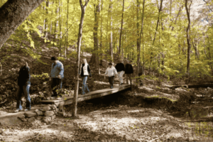 Hikers crossing wooden footbridges along a scenic trail at Bull Run Regional Park in Clifton VA, surrounded by vibrant autumn foliage and a quiet forest stream.