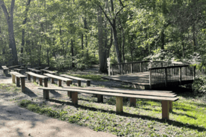 Outdoor wooden benches facing a small stage platform surrounded by trees in a forested park setting, with sunlight filtering through the leaves.