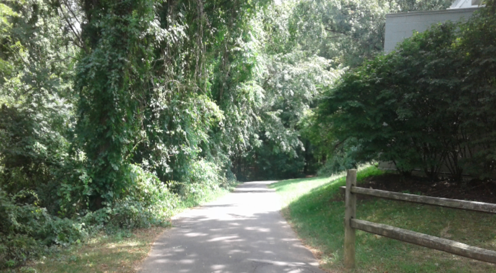 Shaded walking trail surrounded by lush green trees and vegetation at Holmes Run Trail in Alexandria, Virginia, with a wooden fence lining one side of the path.