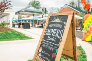 Outdoor market with fresh produce stands, local vendors, and families shopping.