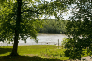 Peaceful riverside view framed by leafy trees, with a grassy area and metal railing overlooking the Potomac River on a sunny day.