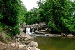 Small waterfall at Scott's Run Nature Preserve in McLean, VA, surrounded by lush green trees and rocky terrain, flowing into a calm pool of water.