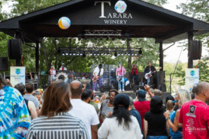 Crowd enjoying a live concert at Tarara Winery in Leesburg, VA.